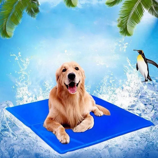 Dog Mat Cooling Summer Pad Mat For Dogs Cat Blanket Breathable Pet Dog Bed Washable For Small Medium Large Dogs Car Vimost Shop