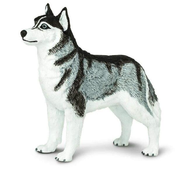 Figura de borracha - Husky Siberiano Brincatoys
