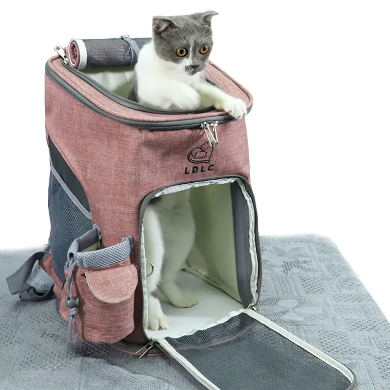 Cats and dogs Carrier Backpack Woof & Meow