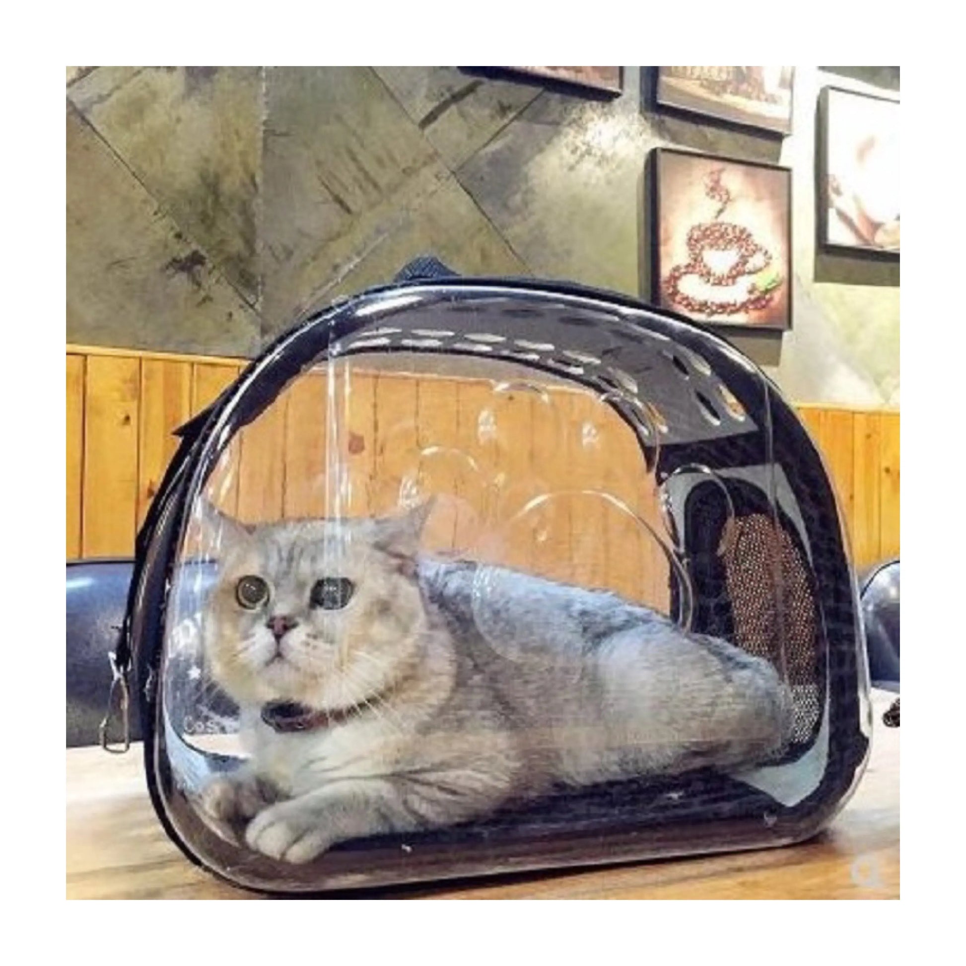 Carriers for cats and dogs Woof & Meow
