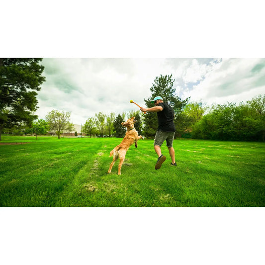 Ball Launcher for Dogs Hunter Hunter