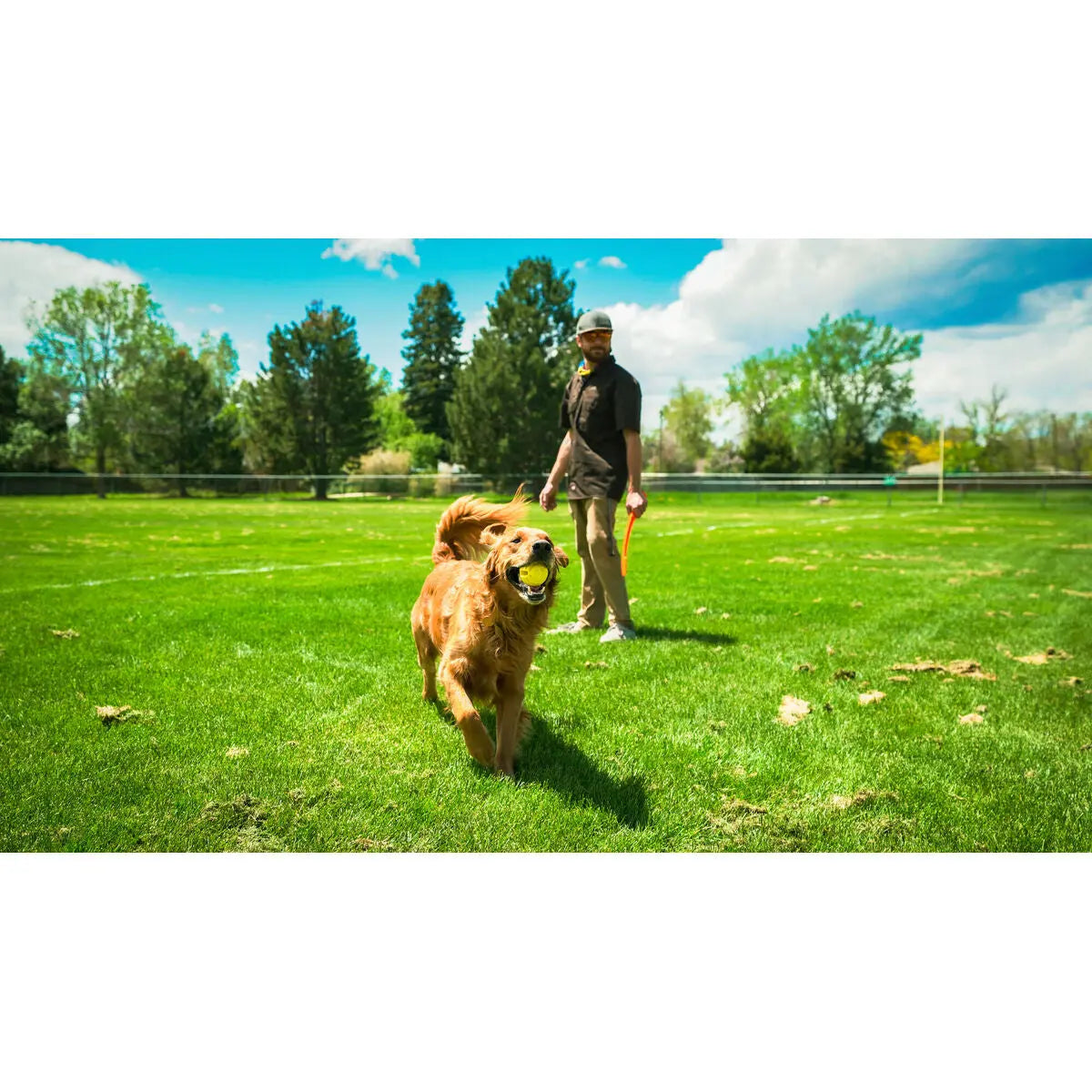 Ball Launcher for Dogs Hunter Hunter