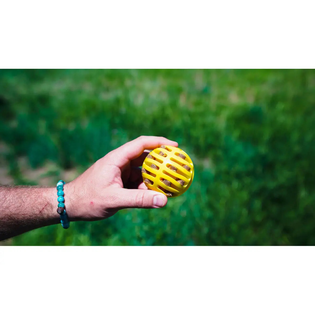 Ball Launcher for Dogs Hunter Hunter