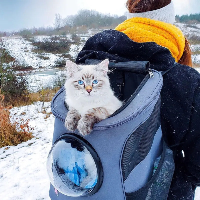 Cats and Dogs Backpack Woof & Meow