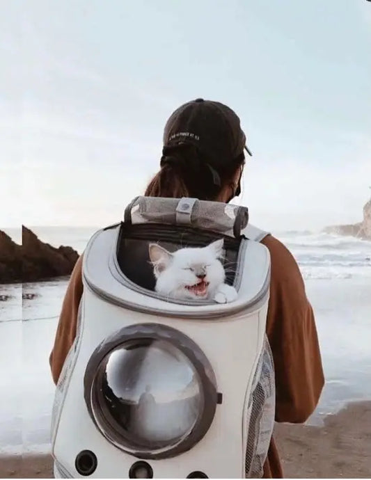 Cats and Dogs Backpack Woof & Meow