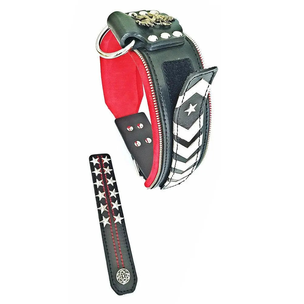 The unique "General" leather dog collar for big dogs BESTIA
