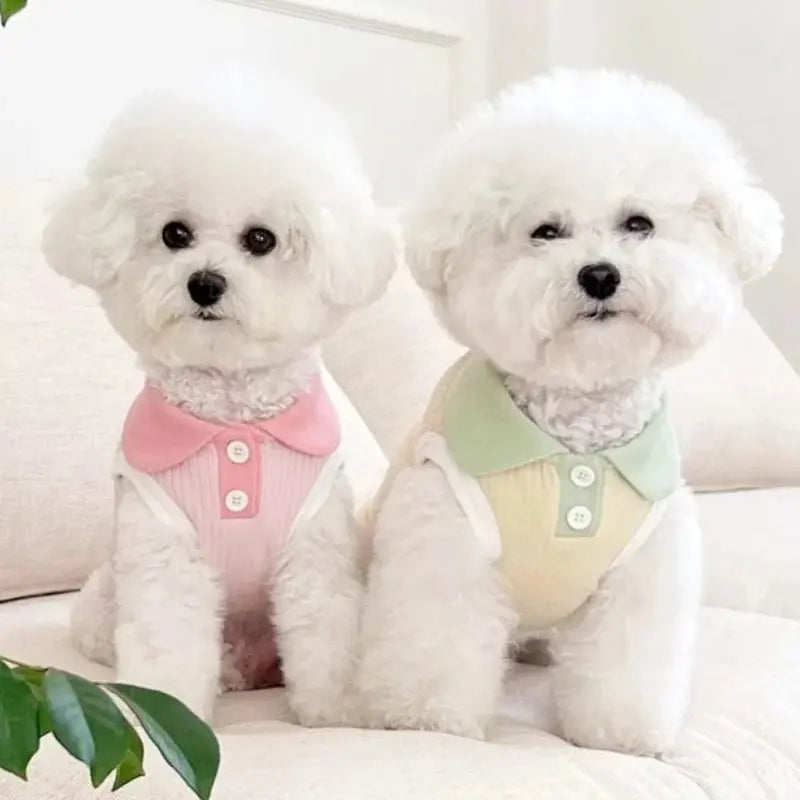 Summer Dog Polo Shirt for Small Dogs Cashymart