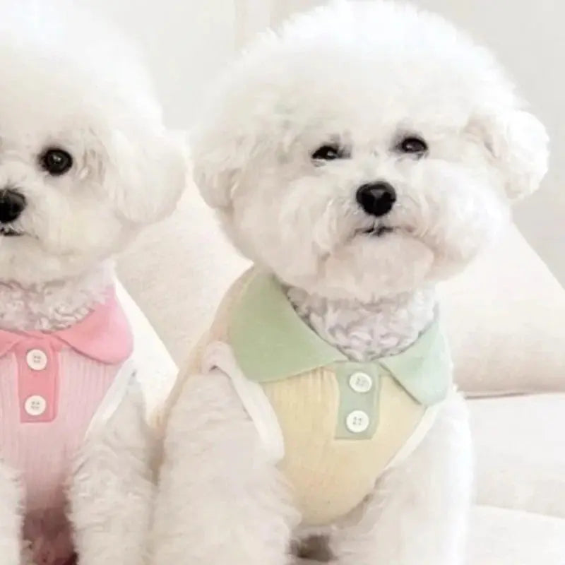 Summer Dog Polo Shirt for Small Dogs Cashymart