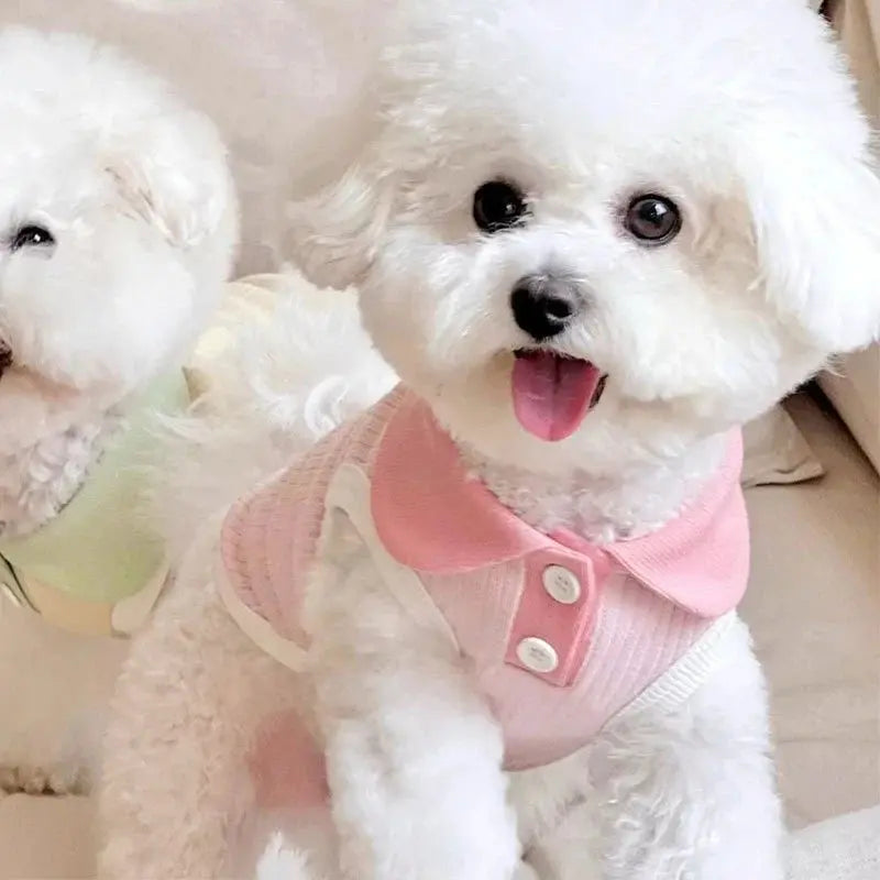 Summer Dog Polo Shirt for Small Dogs Cashymart