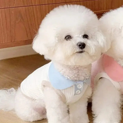 Summer Dog Polo Shirt for Small Dogs Cashymart