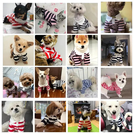 Summer Dog Polo Shirt for Small Dogs Cashymart