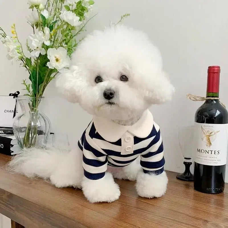 Summer Dog Polo Shirt for Small Dogs Cashymart