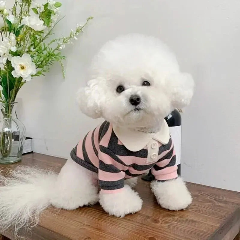 Summer Dog Polo Shirt for Small Dogs Cashymart