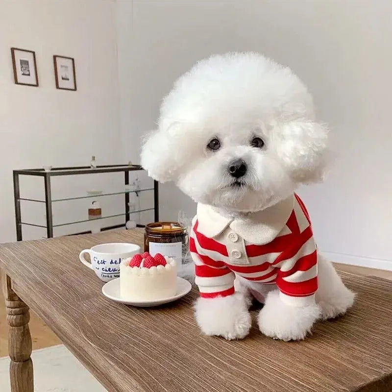 Summer Dog Polo Shirt for Small Dogs Cashymart