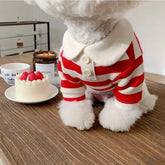 Summer Dog Polo Shirt for Small Dogs Cashymart