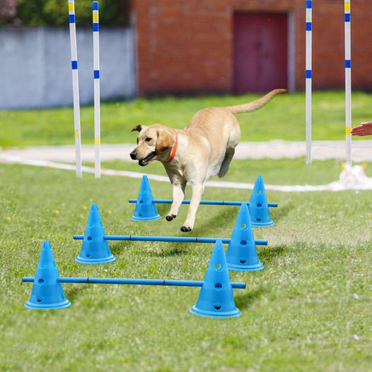 Dogs Agility Equipment HemBarnHusdjur