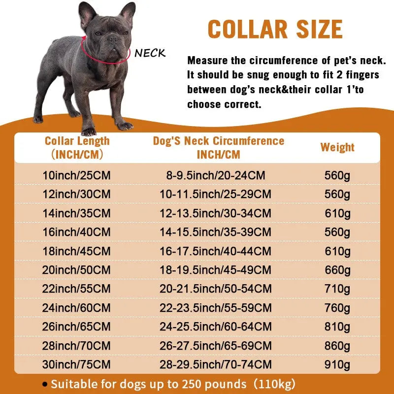 Cuban Chain Dogs Collar HemBarnHusdjur