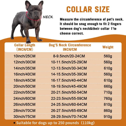 Cuban Chain Dogs Collar HemBarnHusdjur