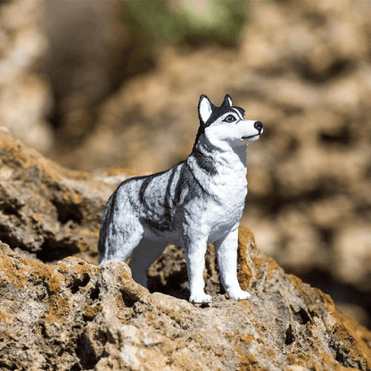 Figura de borracha - Husky Siberiano Brincatoys