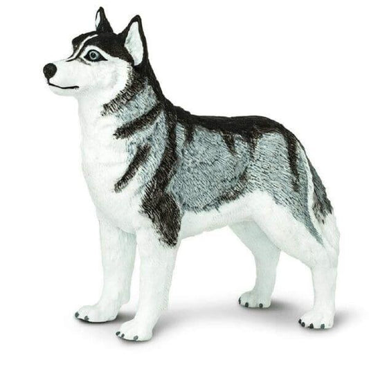 Figura de borracha - Husky Siberiano Brincatoys