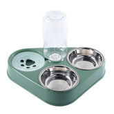 OBA stainless steel pet food and water bowl set with green base and water dispenser